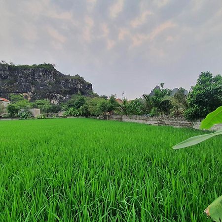Trang An Garden Bungalow นิญบิ่ญ ภายนอก รูปภาพ