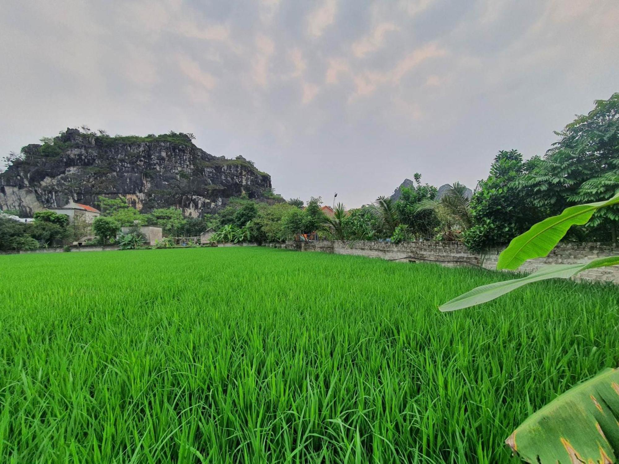 Trang An Garden Bungalow นิญบิ่ญ ภายนอก รูปภาพ